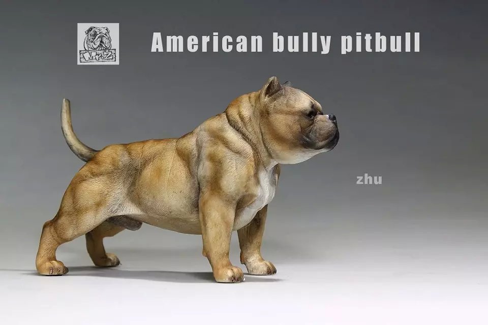  Artikelbild 2 des Artikels “MR.Z American Bully Pitbull  A 1:6 “