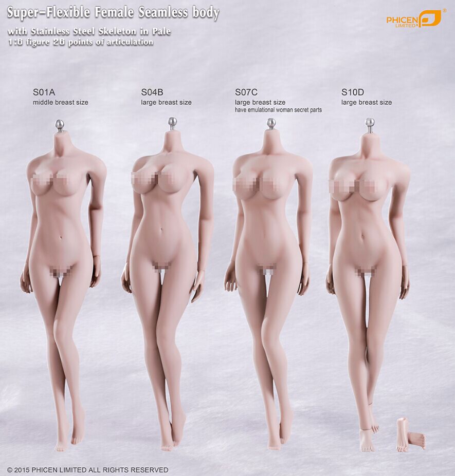  Product image 2 of the product “Phicen Body Pale - large Breat Size ”