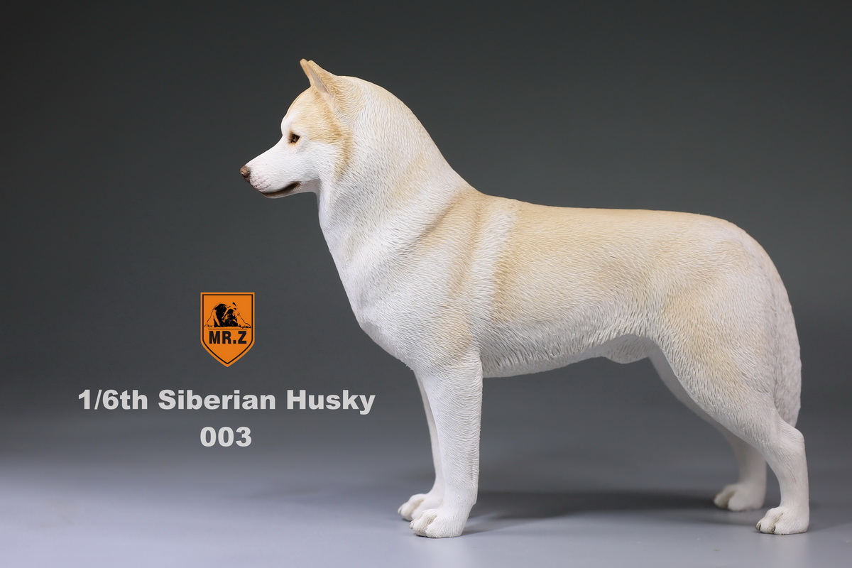  Artikelbild 2 des Artikels “Siberian Husky Dog (Beige) “