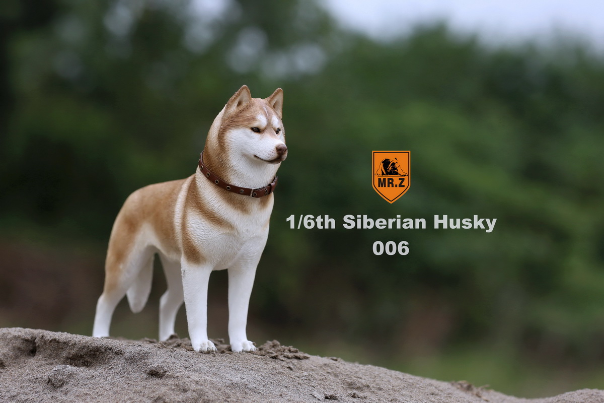  Artikelbild 2 des Artikels “Siberian Husky Dog (Brown) 1:6 “