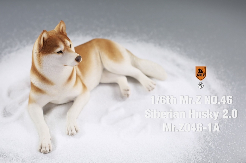  Artikelbild 2 des Artikels “Siberian Husky Dog 2.0 (Beige) 1:6 “
