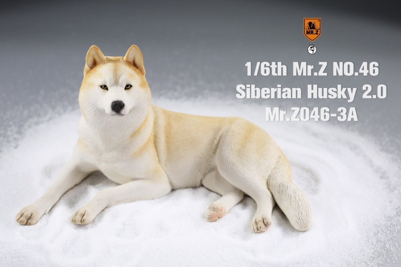  Artikelbild 2 des Artikels “Siberian Husky Dog 2.0 (Beige) 1:6 “