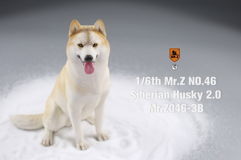  Artikelbild 2 des Artikels “Siberian Husky Dog 2.0 (Beige) 1:6 “