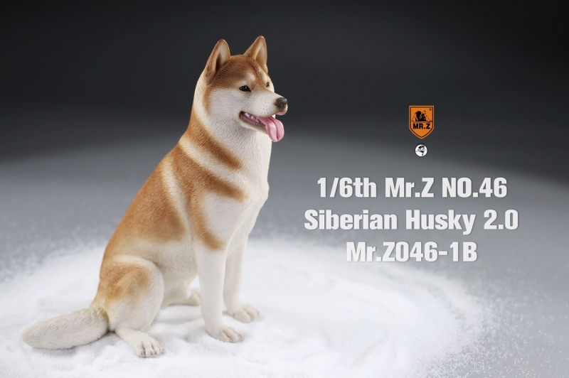  Artikelbild 2 des Artikels “Siberian Husky Dog 2.0 (Beige) 1:6 “