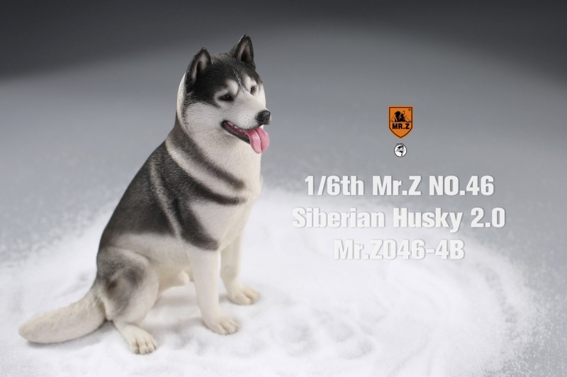  Artikelbild 2 des Artikels “Siberian Husky Dog 2.0 (Black) 1:6 “