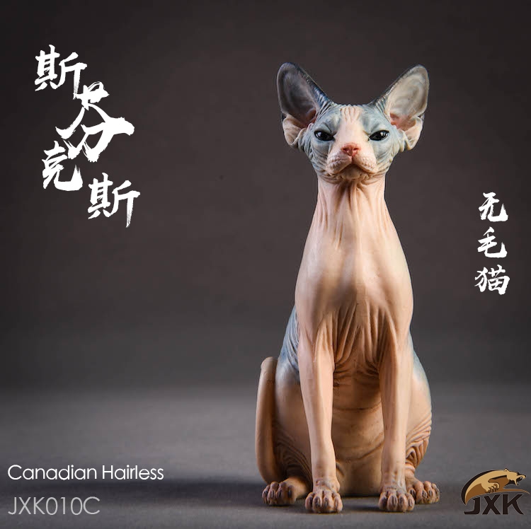  Artikelbild 2 des Artikels “Sphynx Canadian Hairless Cat (Beige) 1:6 “