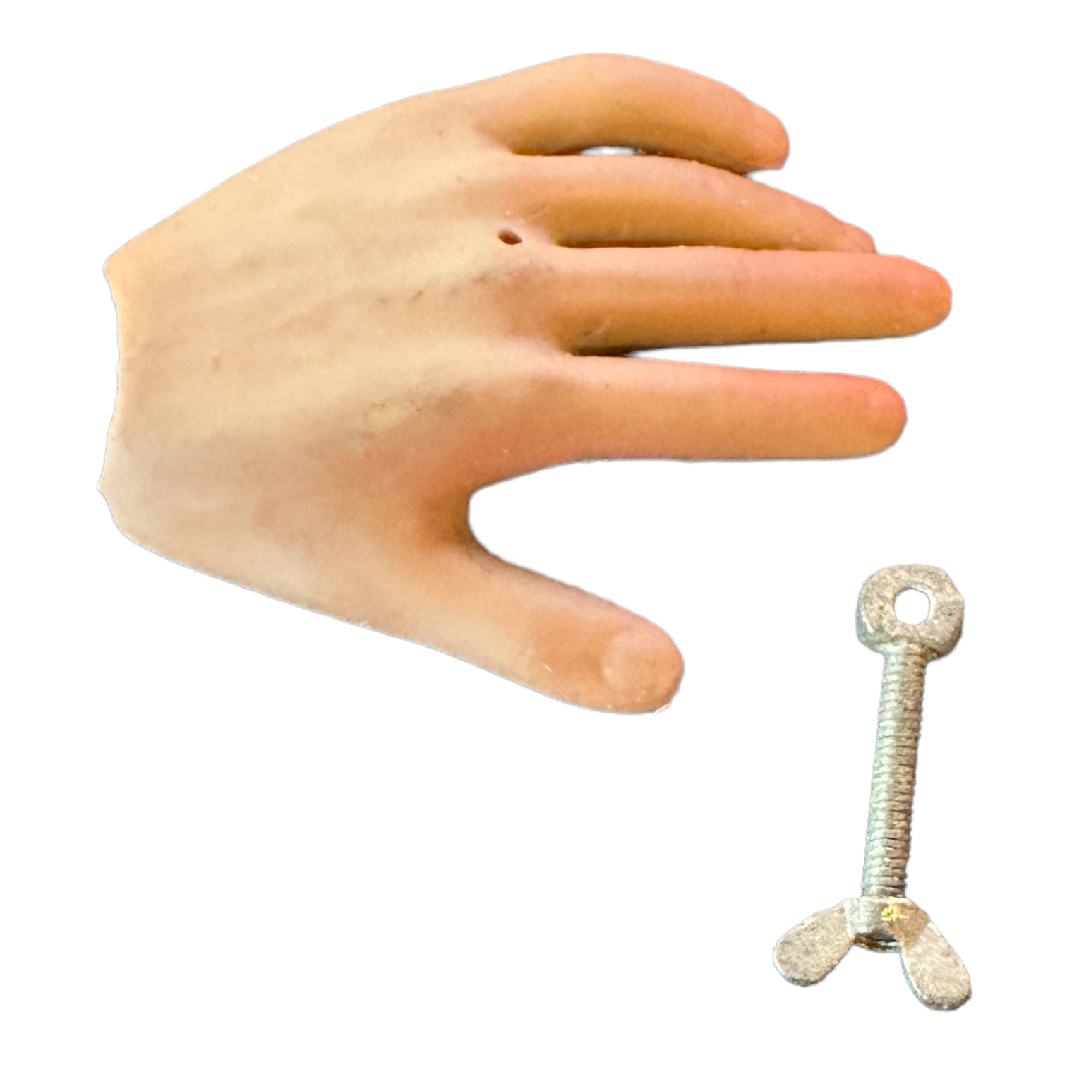 Artikelbild 2 des Artikels “Linsenschraube mit Flügelmutter Set 1/6 “