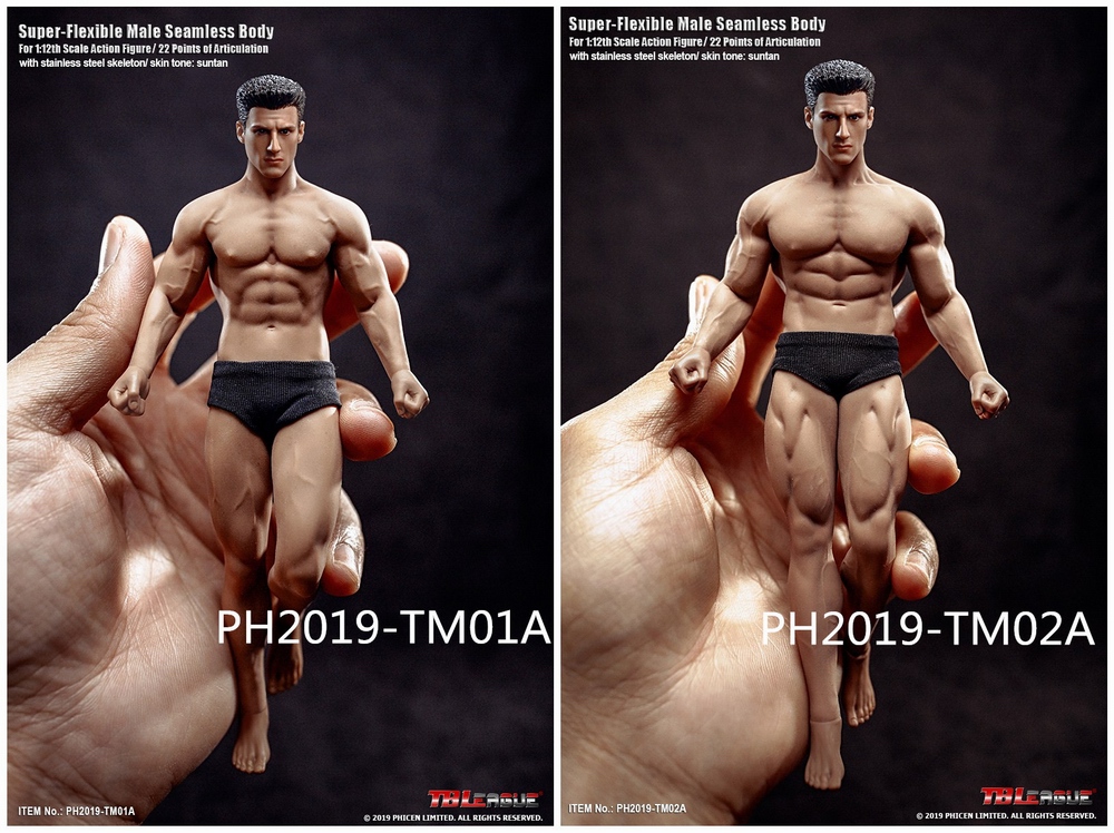  Product image 2 of the product “1/12th Scal Male Seamless Body Suntan ”