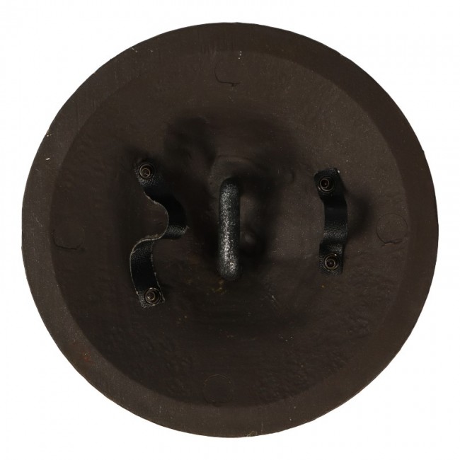  Product image 2 of the product “Lion Shield (Gold)  1/6 ”