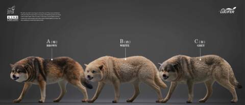  Artikelbild 3 des Artikels “1/6 Brauner Wolf “