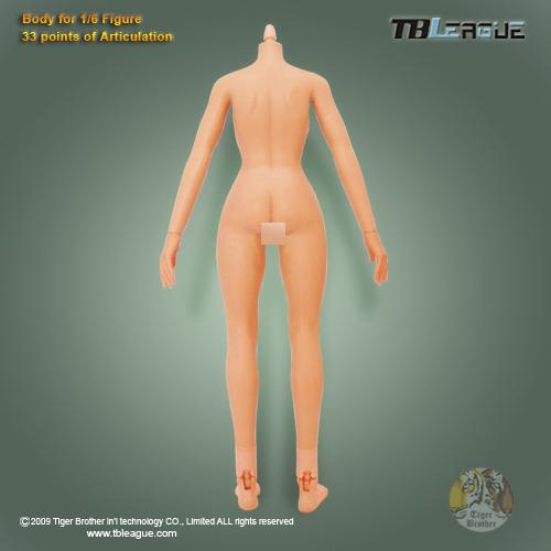  Product image 3 of the product “Ultimate Female Body ”