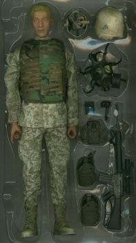  Artikelbild 3 des Artikels “Aldon Marine Expeditionary Unit (MEU) “