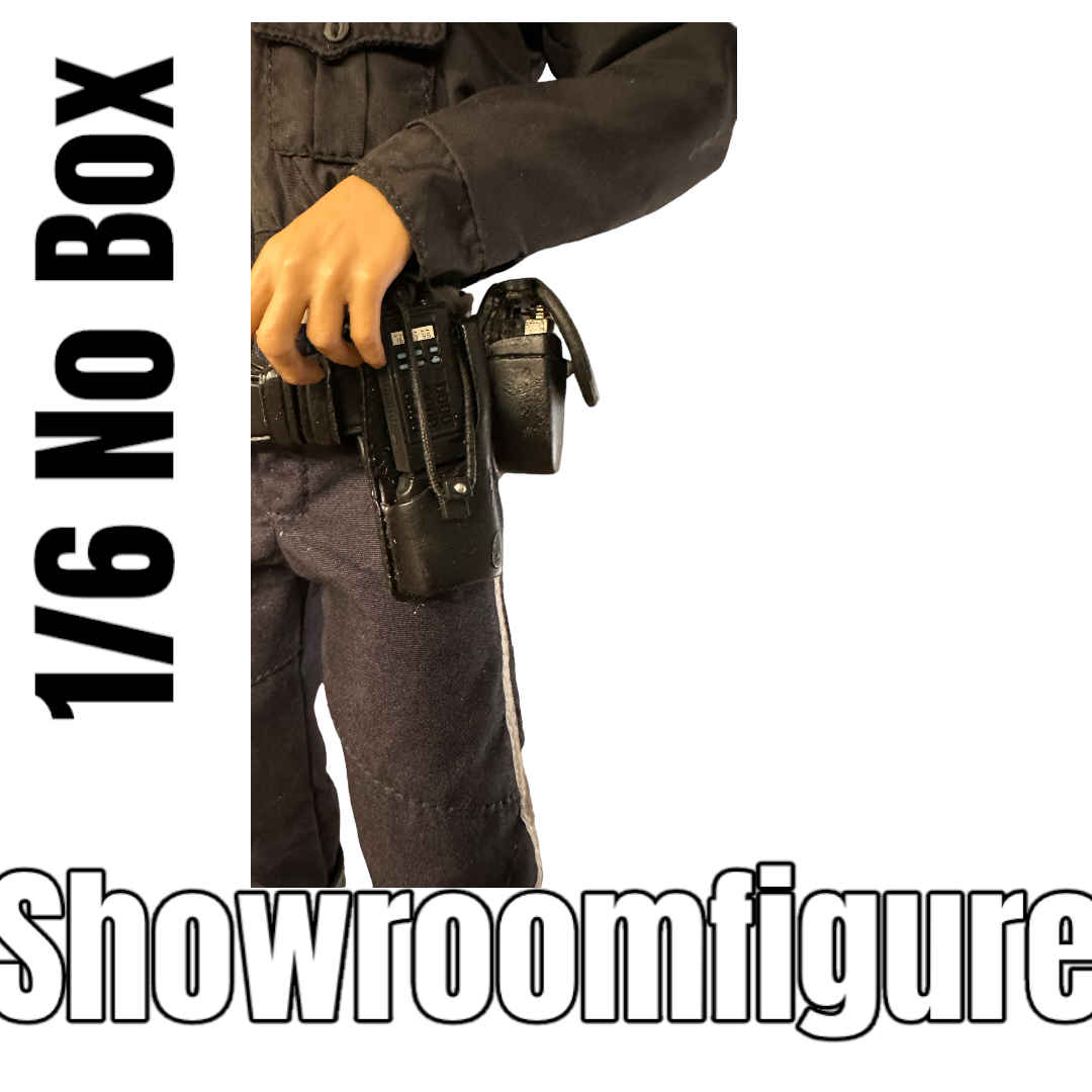 Artikelbild 3 des Artikels “Highway Patrol Showroom 1/6 “