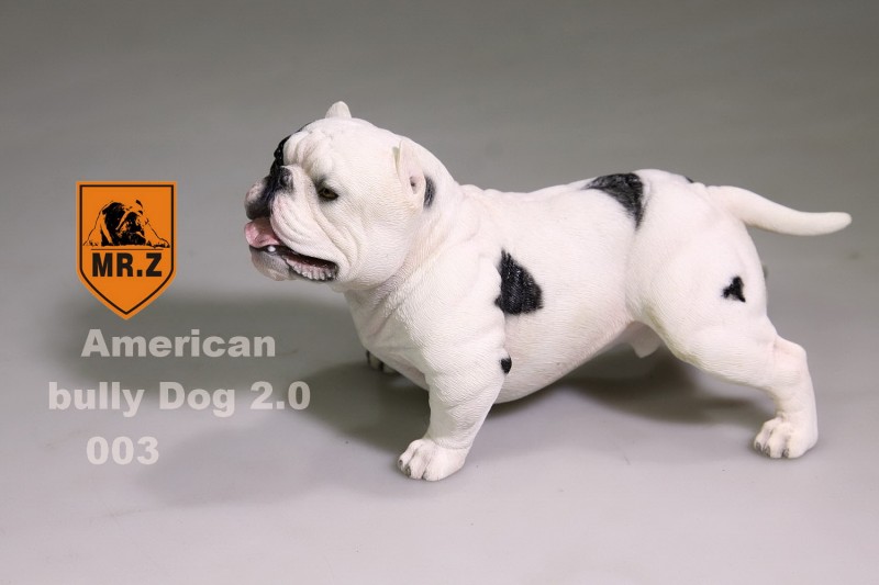  Artikelbild 3 des Artikels “MR.Z American Pitbull 2.0 Dog (White) 1:6 “