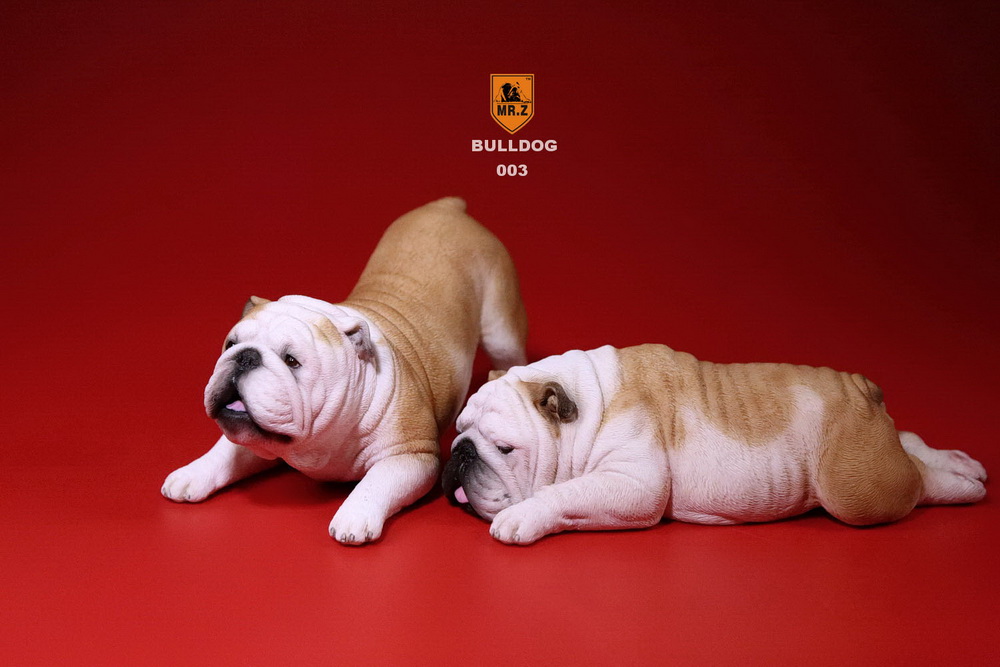 Artikelbild 3 des Artikels “British Bulldog Dogs Set (Beige) 1:6 “