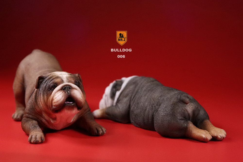  Product image 3 of the product “British Bulldog Dogs Set (Brown) 1/6 ”