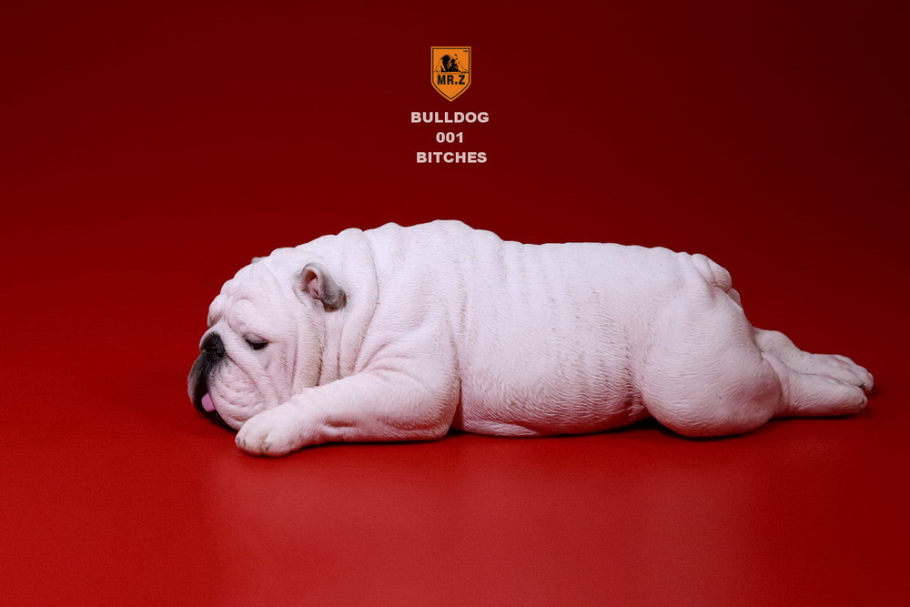  Artikelbild 3 des Artikels “British Bulldog Dogs Set (White) 1:6 “