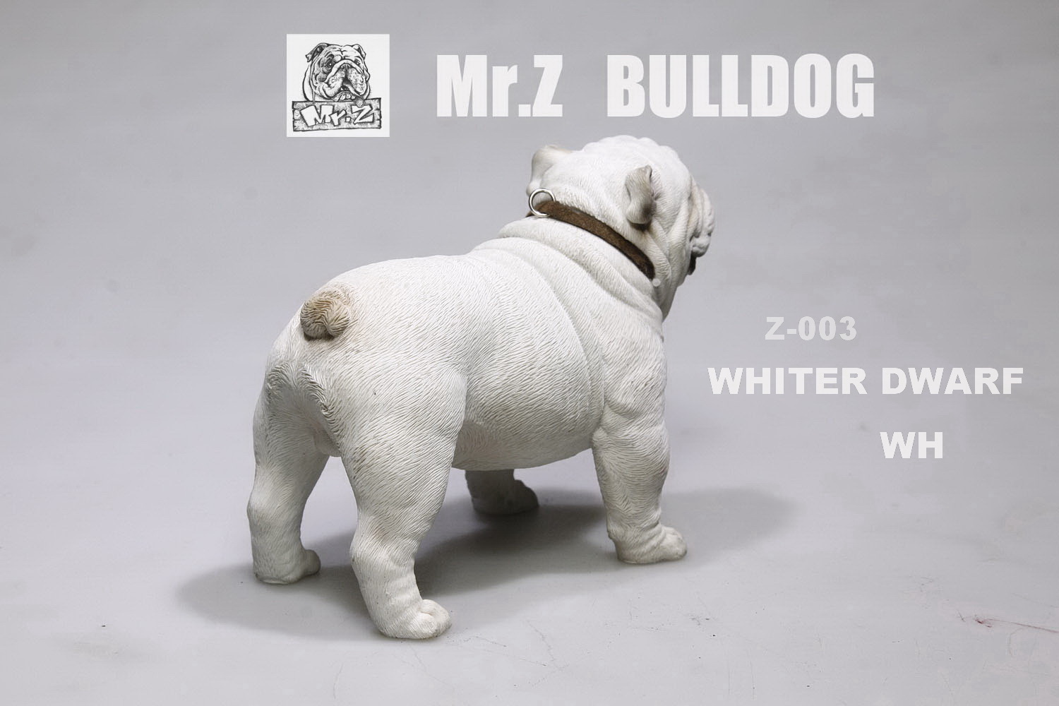  Product image 3 of the product “English Bulldog Whiter Dwarf 1/6 ”