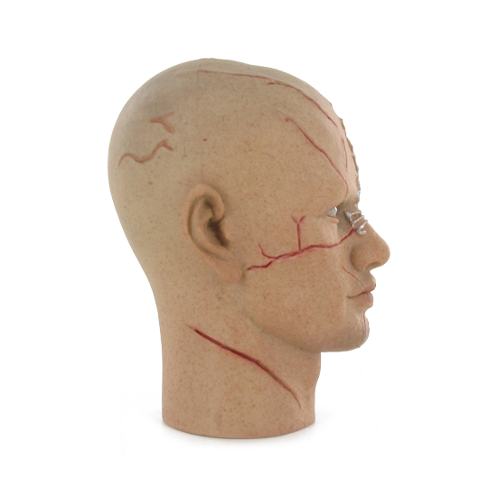  Artikelbild 3 des Artikels “1:6 Headsculpt Tadanobu Asan “