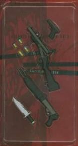  Artikelbild 3 des Artikels “Chris & Claire Redfield - Bio Hazard - Code Veronica “