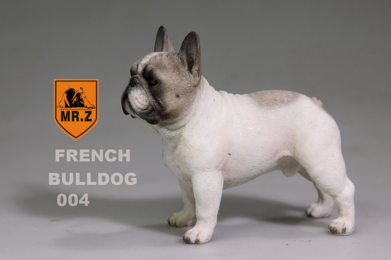  Artikelbild 3 des Artikels “MR.Z French Bulldog 05 1:6 “