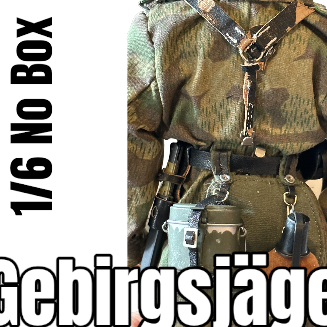  Artikelbild 3 des Artikels “Willi Gebirgsjäger - Soldat 1/6 “