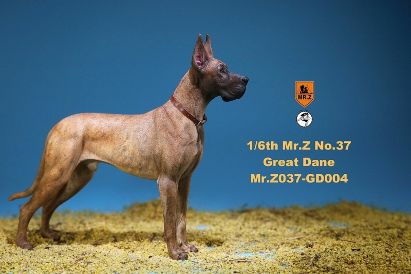  Artikelbild 3 des Artikels “German Great Dane Dog (Brown) 1:6 “