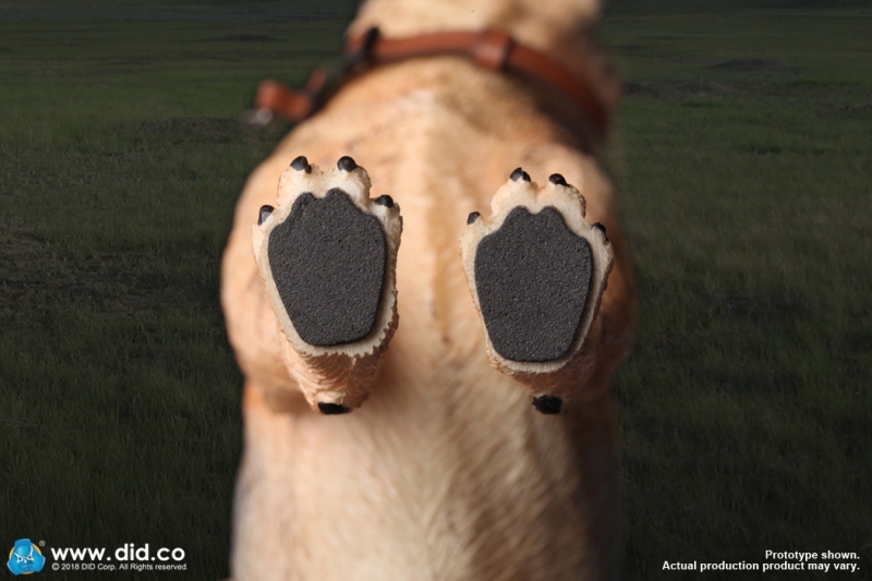  Artikelbild 3 des Artikels “Deutscher Schäferhund 1:6 “