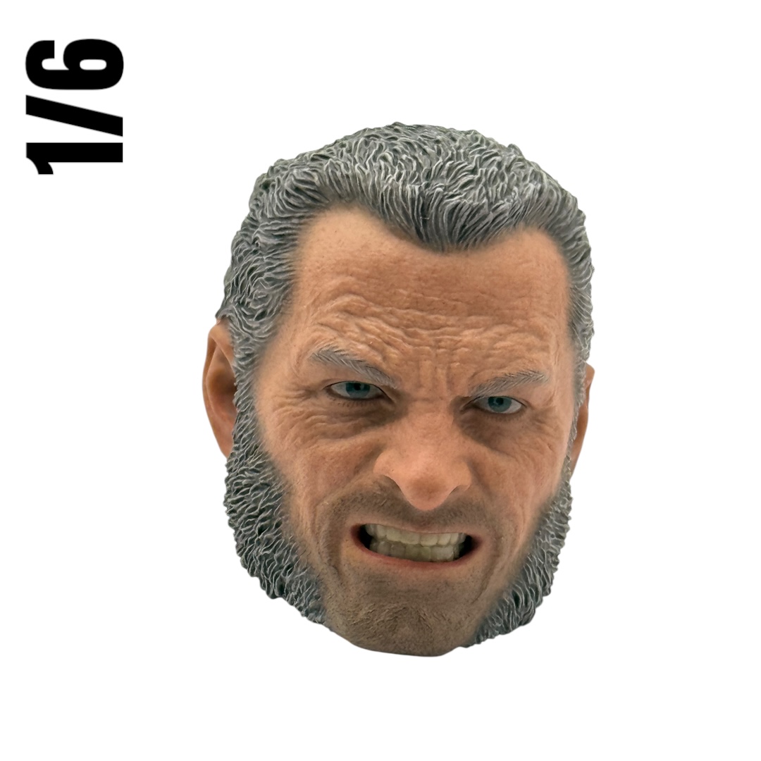  Product image 3 of the product “1/6 Hugh Jackman Head Sculpture James Howlett Wolverine Head ”