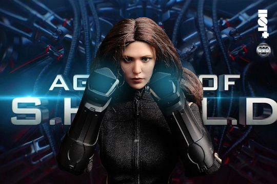  Artikelbild 3 des Artikels “Female Agents of SHIELD Outfit Set “
