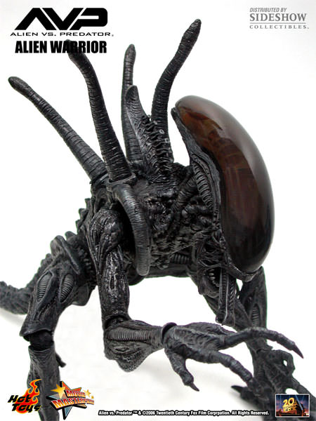  Artikelbild 3 des Artikels “sixth scale Alien Warrier 1/6 “