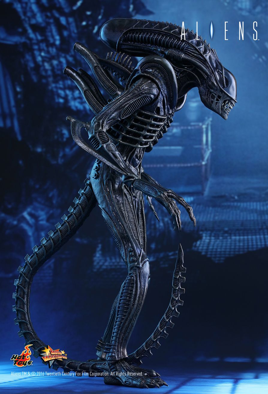  Artikelbild 3 des Artikels “Hot Toys, ALIEN WARRIOR “