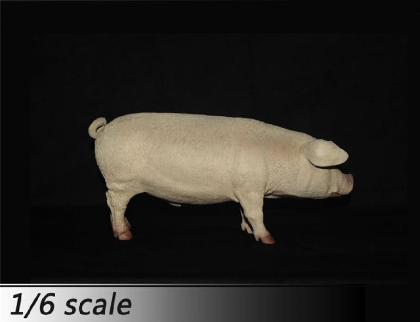  Artikelbild 3 des Artikels “Schwein  (Pink) 1/6 “