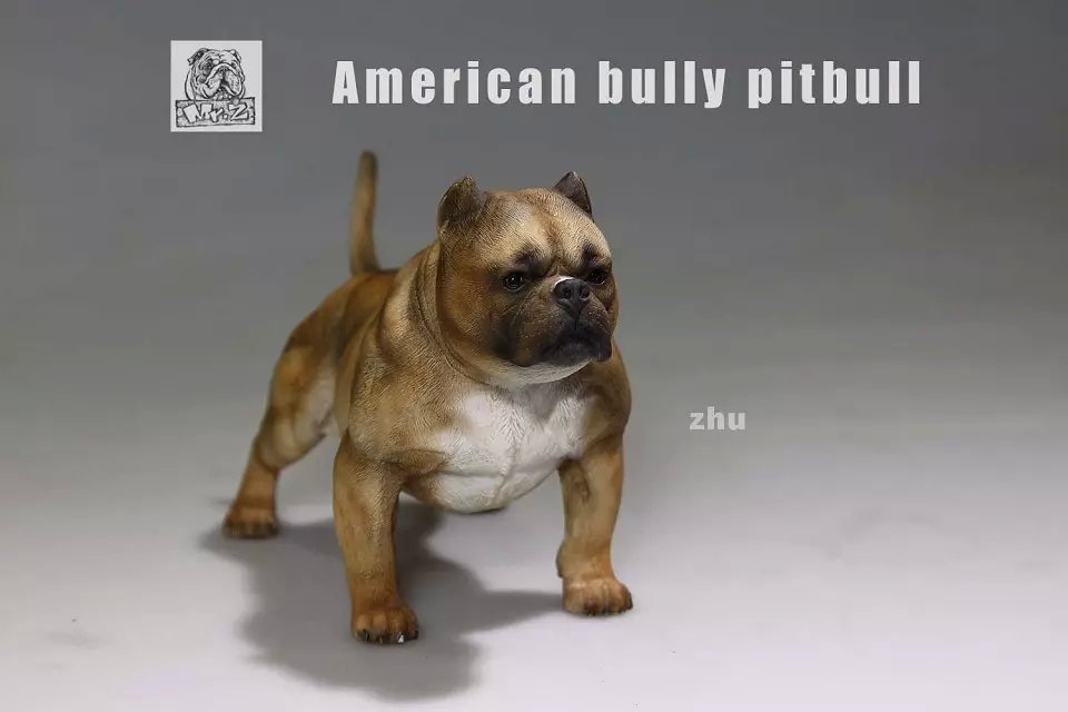  Artikelbild 3 des Artikels “MR.Z American Bully Pitbull  A 1:6 “