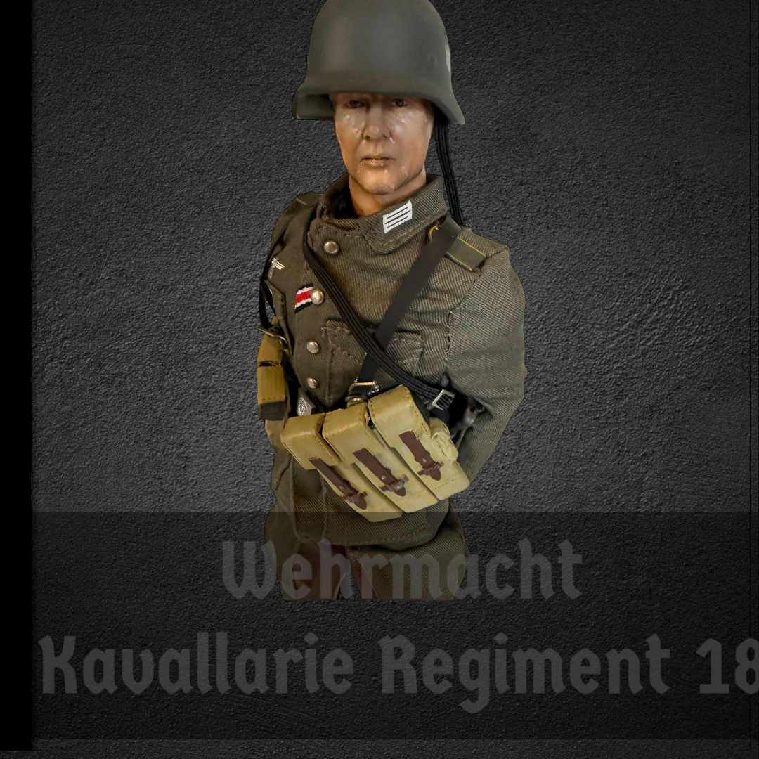  Product image 3 of the product “Wehrmacht Soldat Horst Reiterregiment and Horse 1/6 (No Box) ”