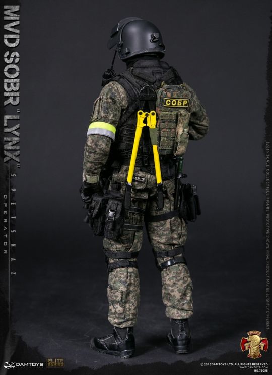  Product image 3 of the product “DAMTOYS 1/6 Russian Spetsnaz MVD - SOBR Lynx ”