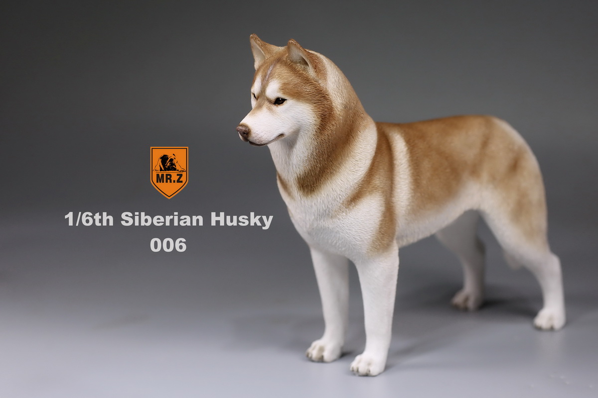  Artikelbild 3 des Artikels “Siberian Husky Dog (Brown) 1:6 “