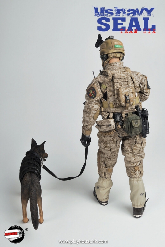  Artikelbild 3 des Artikels “US Navy Seal Team Six mit Hund “