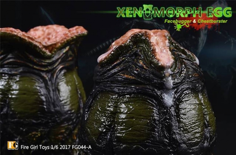 Product image 3 of the product “Xenomorph Egg with Facehugger Larva (Olive Drab) 1/6 ”
