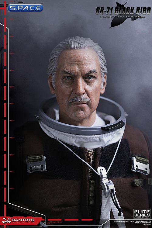  Artikelbild 4 des Artikels “1:6 SR71 Blackbird  TEST  PILOT “