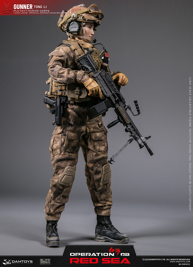  Product image 4 of the product “PLA Navy Marine Corps 