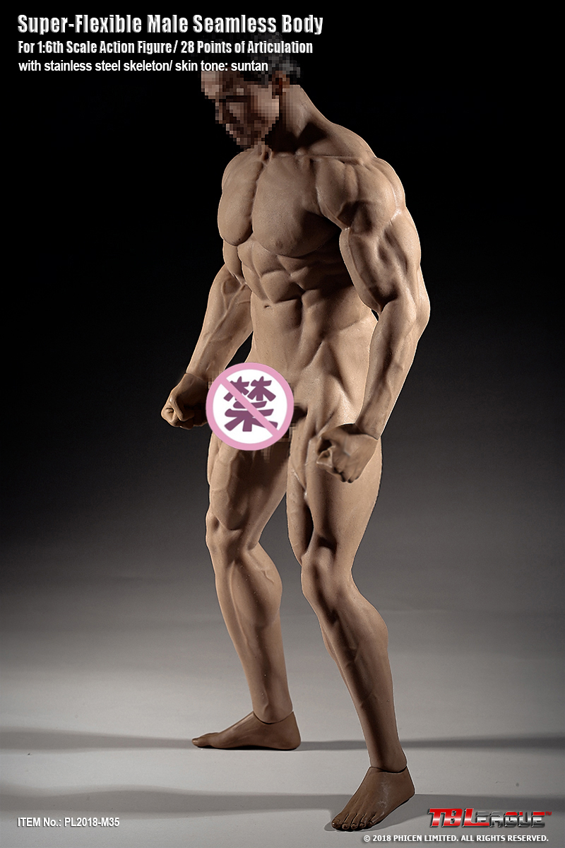  Product image 4 of the product “Seamless Ultra Muscle Body M35 1/6 ”