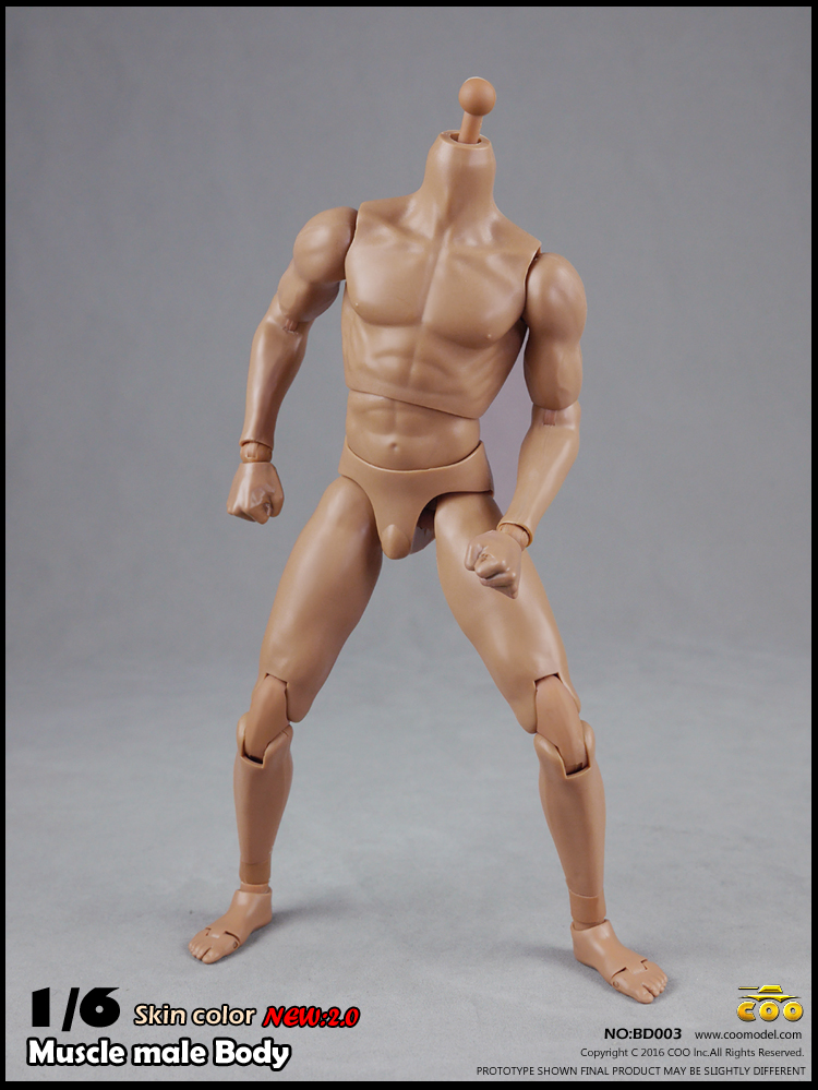  Product image 4 of the product “1/6 2.0 Long Neck male Body HIGH (narrow shoulders) ”