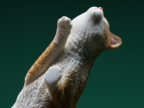  Artikelbild 4 des Artikels “Felis Catus 2.0 (Ver. A) 1/6 Scale Figure “