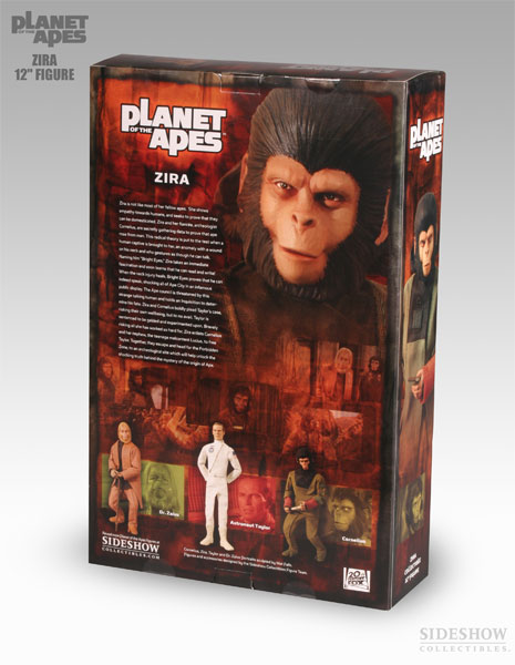  Product image 4 of the product “Zira ”