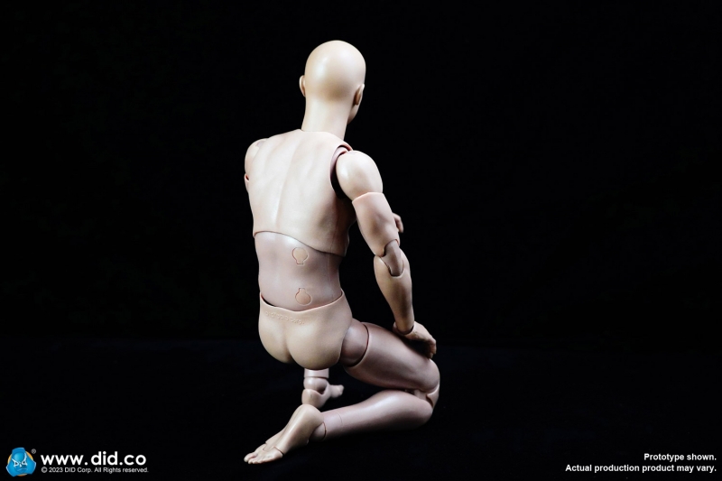  Product image 4 of the product “Caucasian Male New Advanced Body (Slim Version) ”