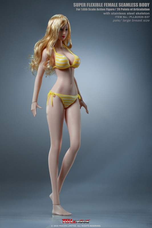  Product image 4 of the product “Phicen Body with Head  Anime - grosse Oberweite - Hautfarbe Pale ”