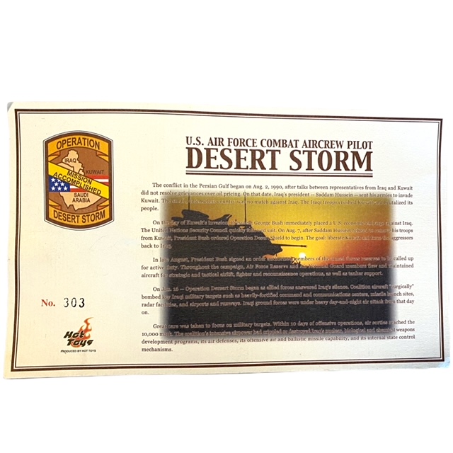  Artikelbild 4 des Artikels “F 16 Hot Toys Dessert Storm Exclusive “