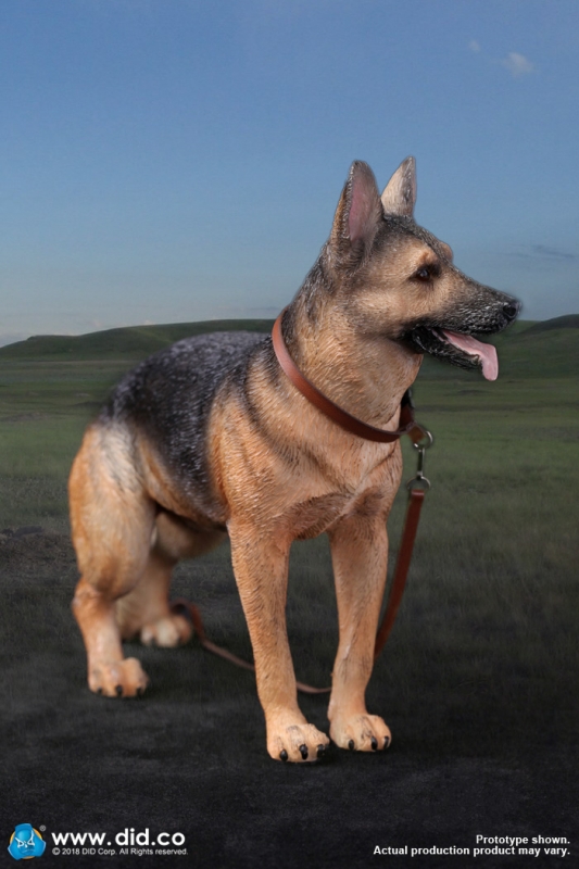  Artikelbild 4 des Artikels “Deutscher Schäferhund 1:6 “