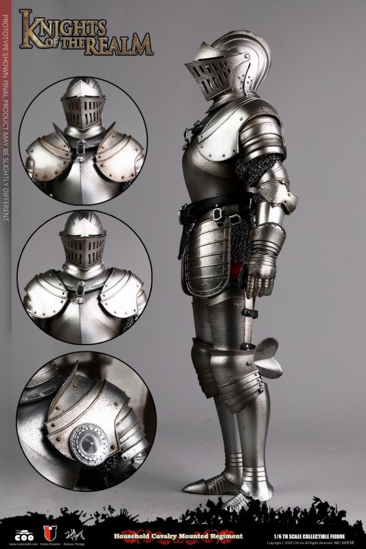  Product image 4 of the product “Knight Of The Realm Household Cavalry Mounted Regiment Pack 1/6 ”